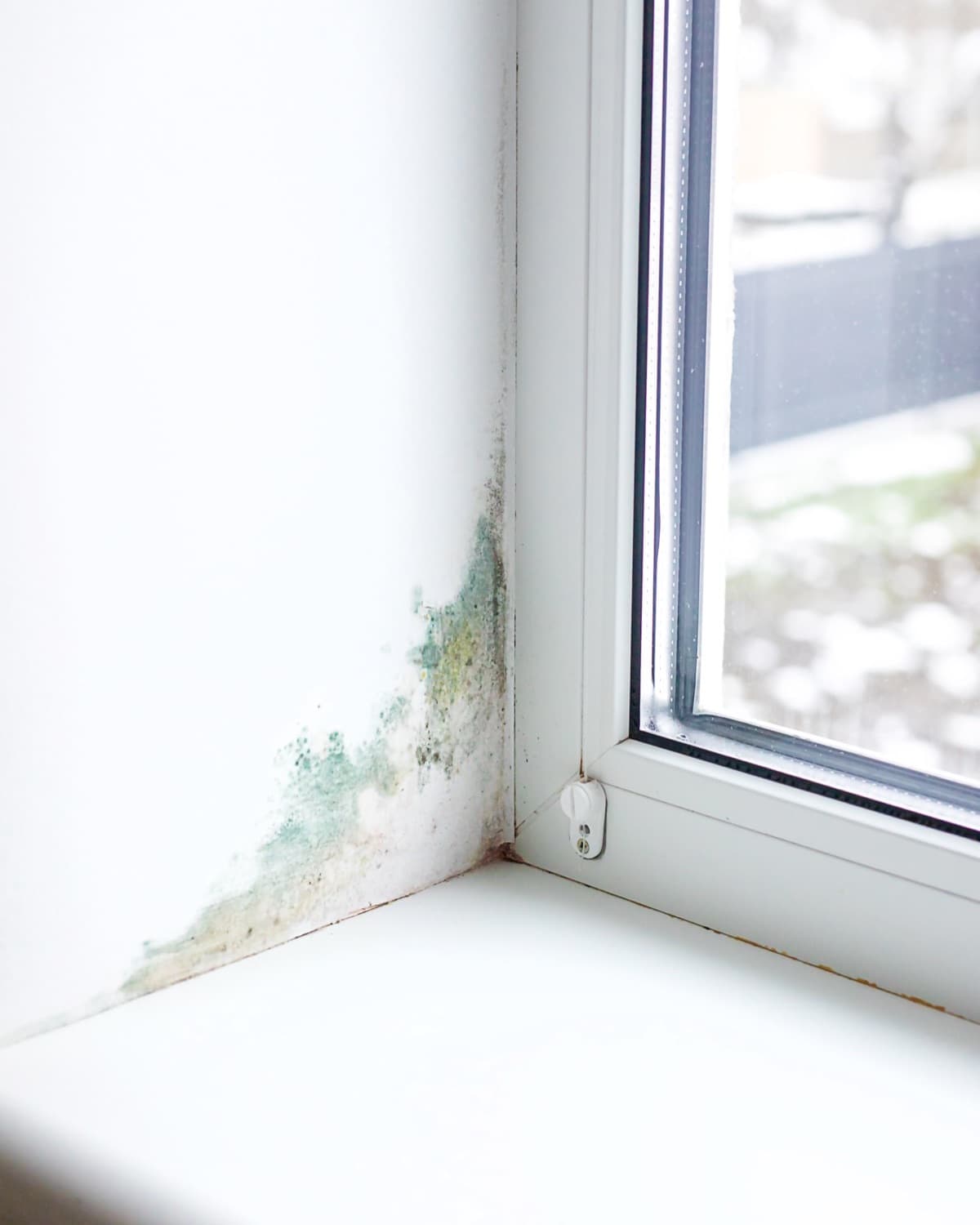 Mold growth on wall in a home.